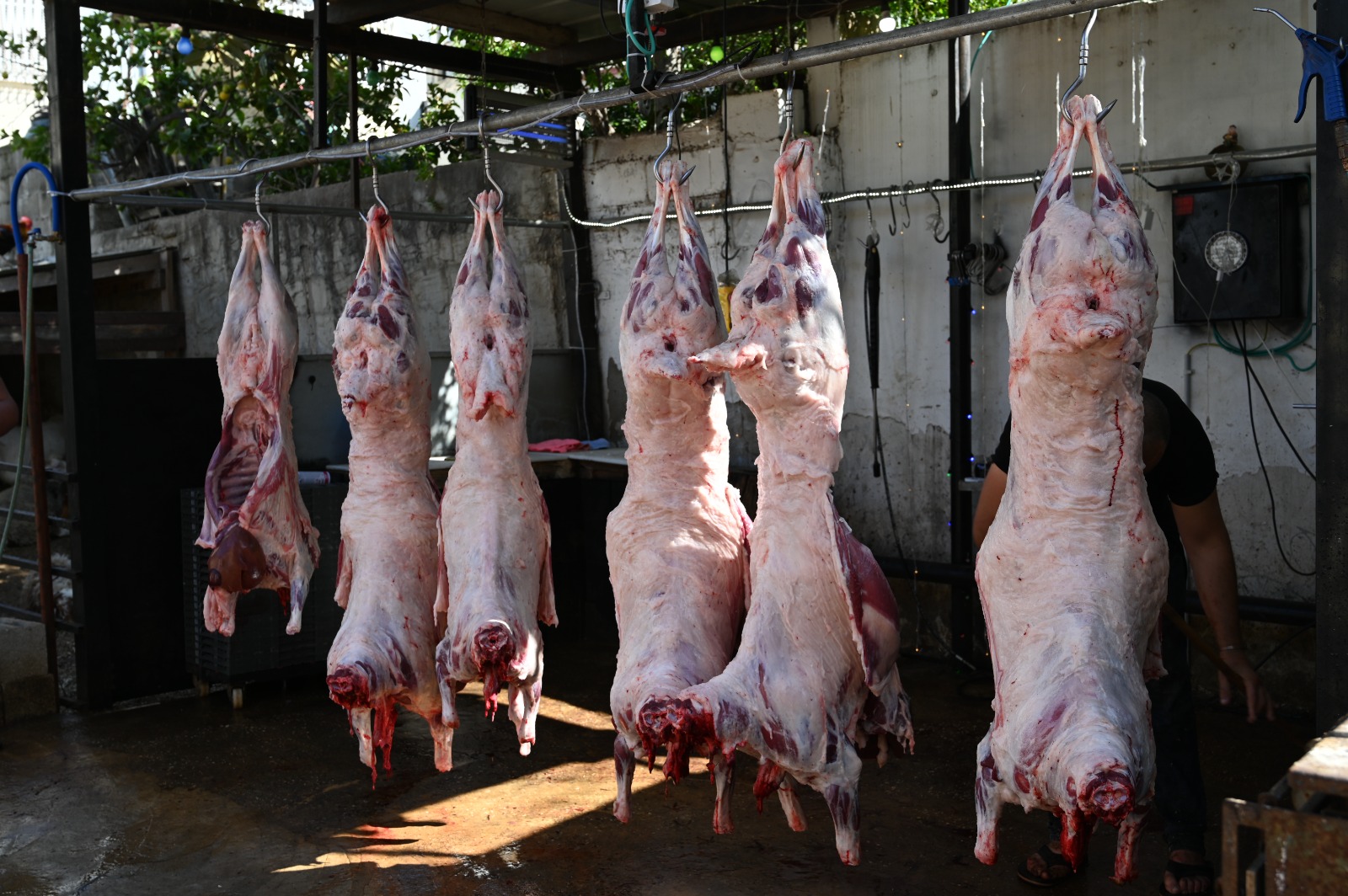 WhatsApp Image 2022-04-15 at 5.23.01 PM.jpeg